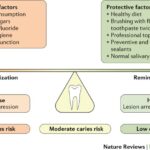 Demineralization-Remineralization-Balance