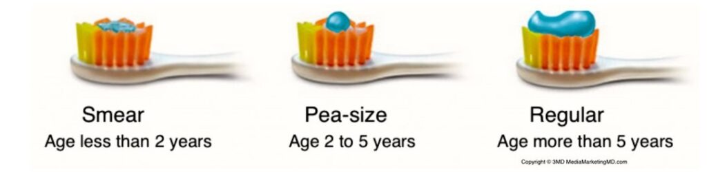 How Much Toothpaste to use?
Newborn to 2 years old: smear toothpaste on the toothbrush.
2 years to 5 years old: use a pea-sized amount of toothpaste. 
5 years and older: use a regular amount of toothpaste.
